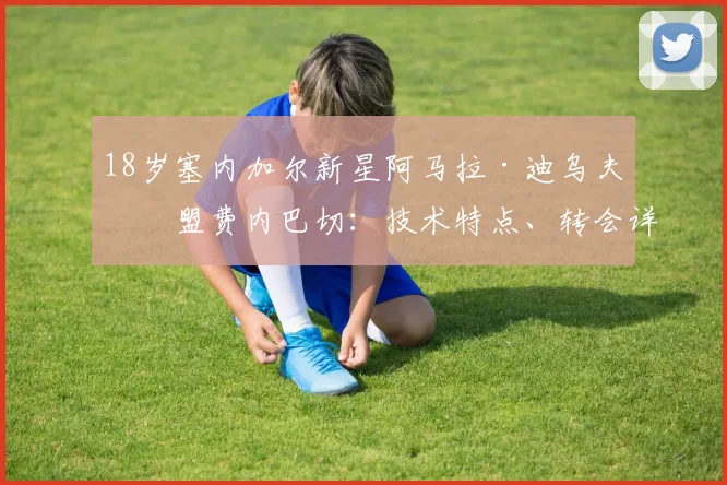 18岁塞内加尔新星阿马拉·迪乌夫加盟费内巴切：技术特点、转会详情与2026赛季前景分析